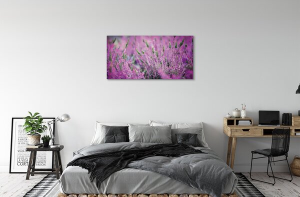 Quadro su tela Campo heather 100x50 cm