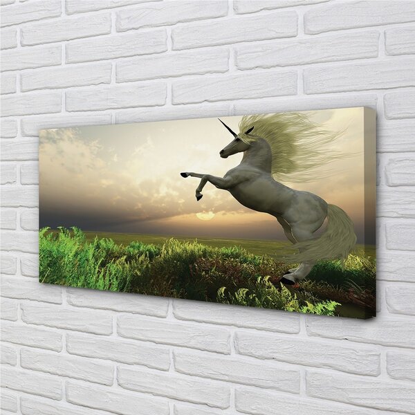 Foto quadro su tela Campo unicorno 100x50 cm