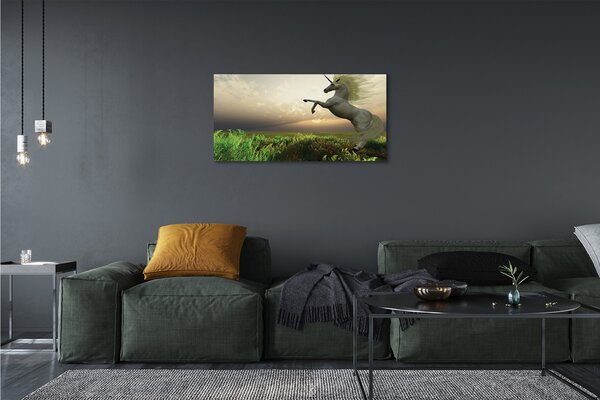 Foto quadro su tela Campo unicorno 100x50 cm