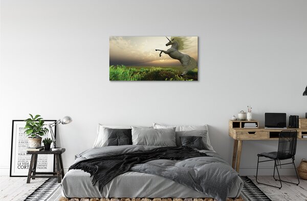 Foto quadro su tela Campo unicorno 100x50 cm