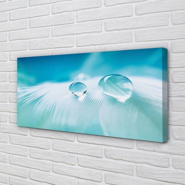 Quadro su tela Fa cadere l'acqua macro 100x50 cm