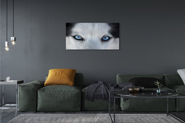 Stampa quadro su tela Eyes Wolf 100x50 cm
