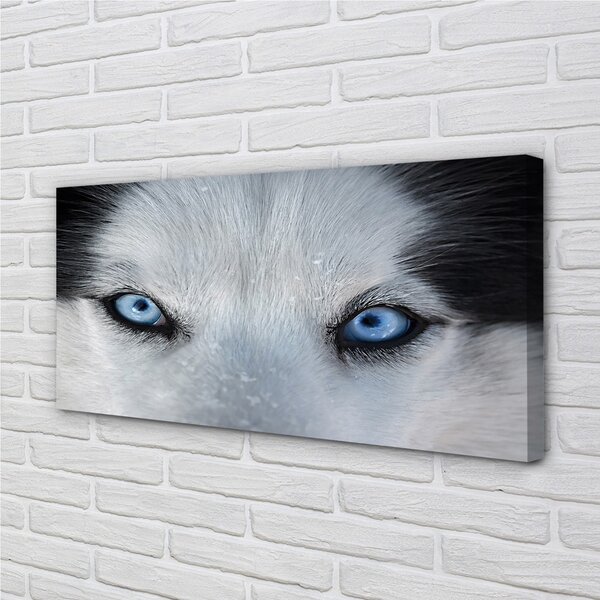 Stampa quadro su tela Eyes Wolf 100x50 cm