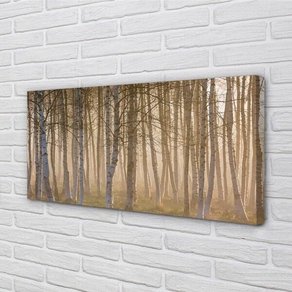 Quadro su tela Foresta dell'alba dell'albero 100x50 cm