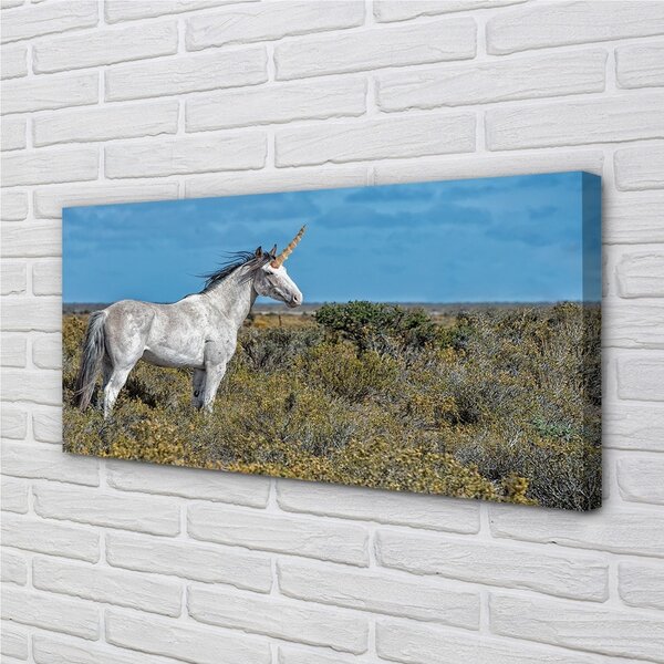Quadro su tela Campo unicorno 100x50 cm