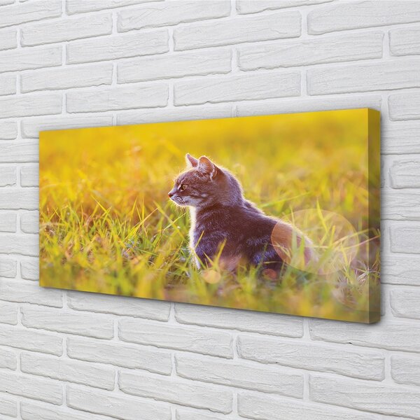 Stampa quadro su tela Catto di caccia 100x50 cm
