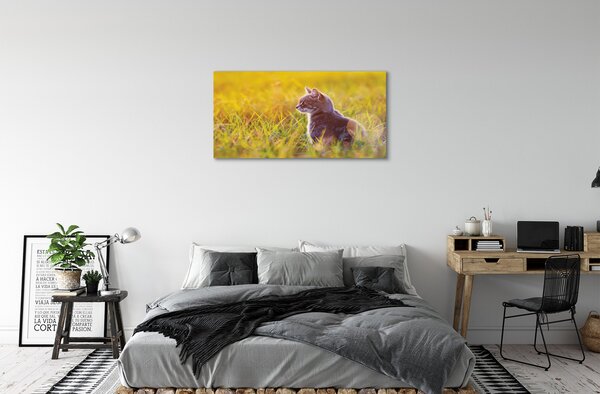 Stampa quadro su tela Catto di caccia 100x50 cm