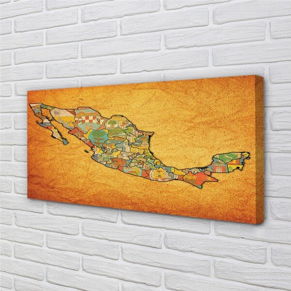 Stampa quadro su tela Mappa colorata 100x50 cm
