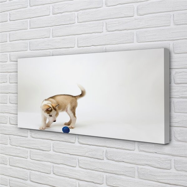 Quadro su tela Suonare il cane 100x50 cm