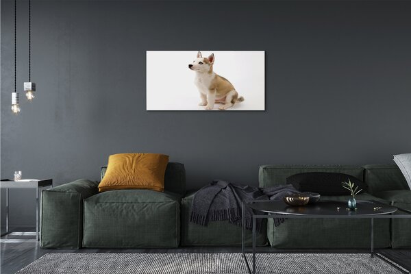 Quadro su tela Cagnolo seduto 100x50 cm