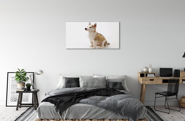 Quadro su tela Cagnolo seduto 100x50 cm