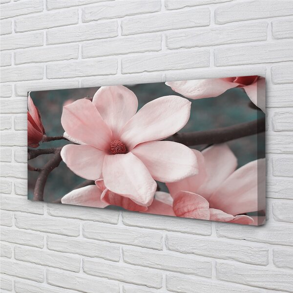 Quadro su tela Fiori rosa 100x50 cm