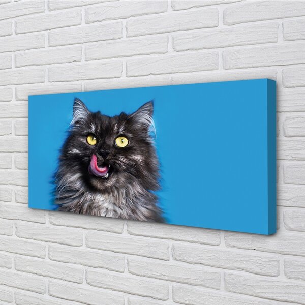 Quadro su tela Leccare il gatto 100x50 cm