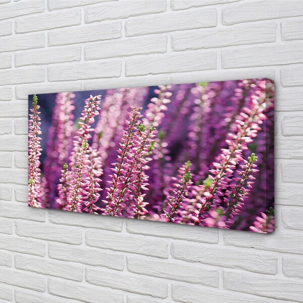 Quadro stampa su tela Fiori 100x50 cm
