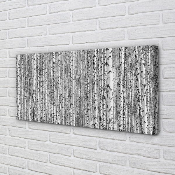 Quadro stampa su tela Alberi della foresta in bianco e nero 100x50 cm