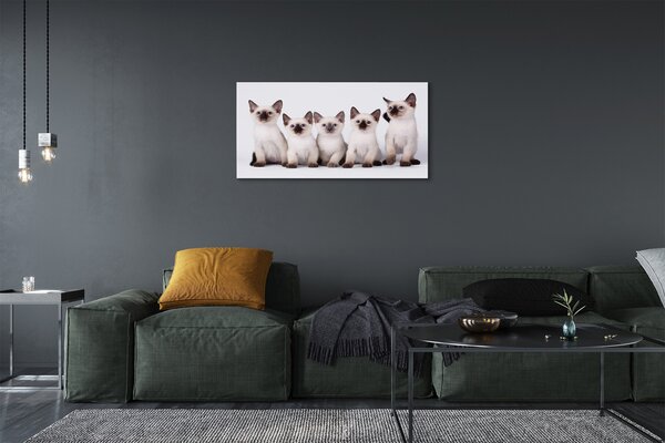 Quadro su tela Piccoli gatti 100x50 cm