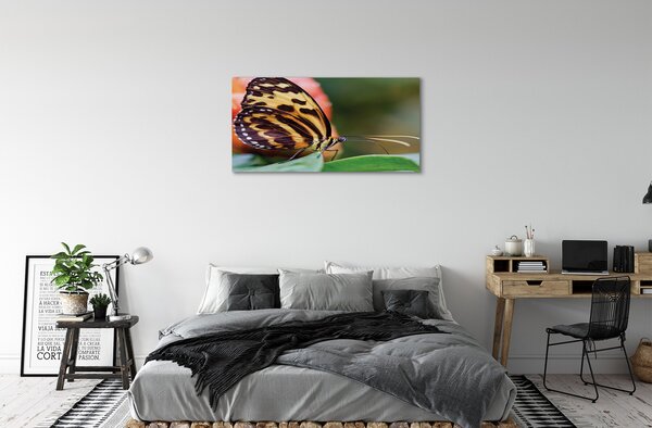 Foto quadro su tela La farfalla 100x50 cm