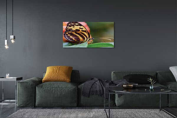 Foto quadro su tela La farfalla 100x50 cm