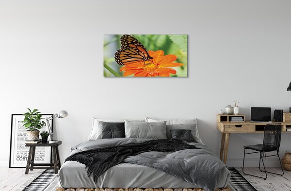 Quadro su tela Fiore di farfalla colorato 100x50 cm