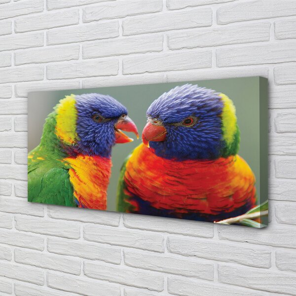 Quadro su tela Pappagalli colorati 100x50 cm