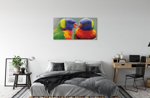 Quadro su tela Pappagalli colorati 100x50 cm