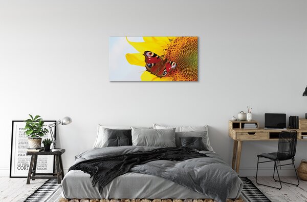 Quadro su tela Farfalla di girasole 100x50 cm