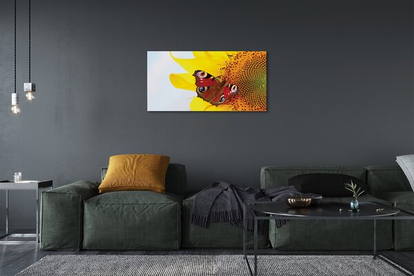 Quadro su tela Farfalla di girasole 100x50 cm