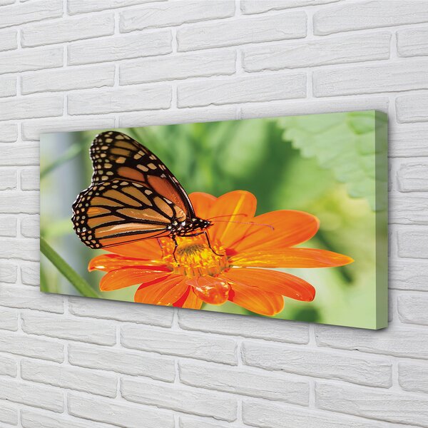 Quadro su tela Fiore di farfalla colorato 100x50 cm