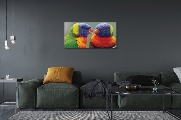 Quadro su tela Pappagalli colorati 100x50 cm