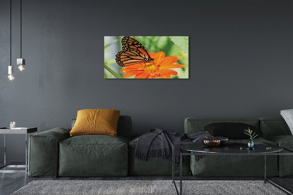 Quadro su tela Fiore di farfalla colorato 100x50 cm