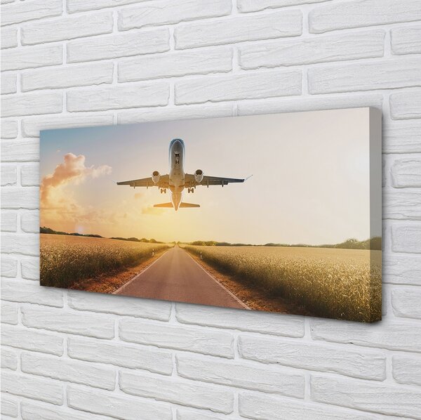 Foto quadro su tela Città dell'aereo ovest 100x50 cm