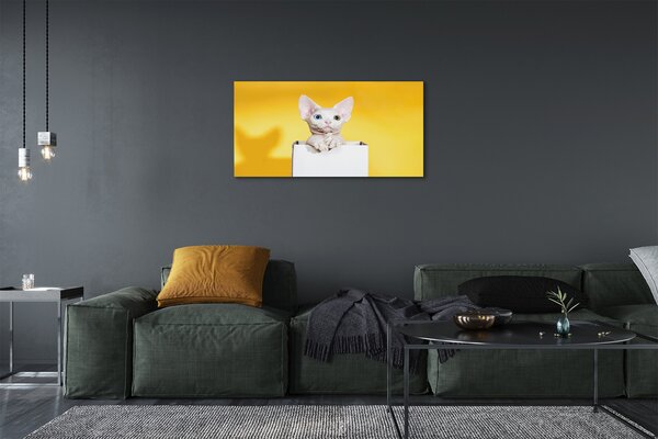 Quadro su tela Sedute gatto 100x50 cm