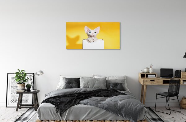 Quadro su tela Sedute gatto 100x50 cm