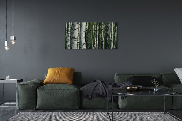 Stampa quadro su tela Foresta di betulla 100x50 cm