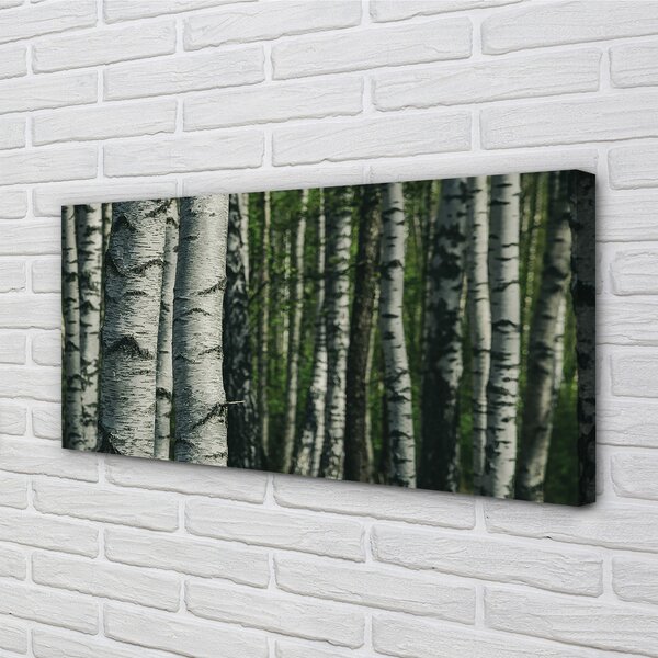Stampa quadro su tela Foresta di betulla 100x50 cm