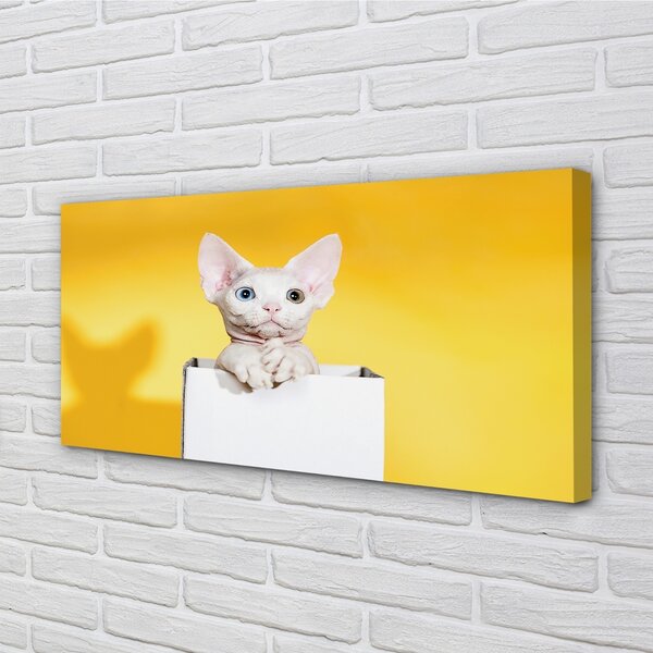 Quadro su tela Sedute gatto 100x50 cm