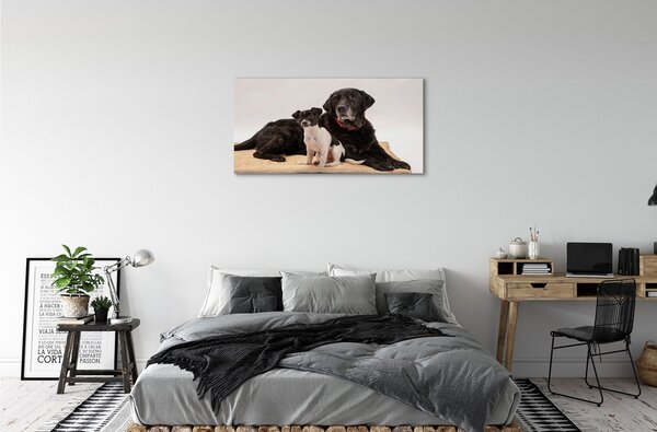 Quadro su tela Cani bugiali 100x50 cm