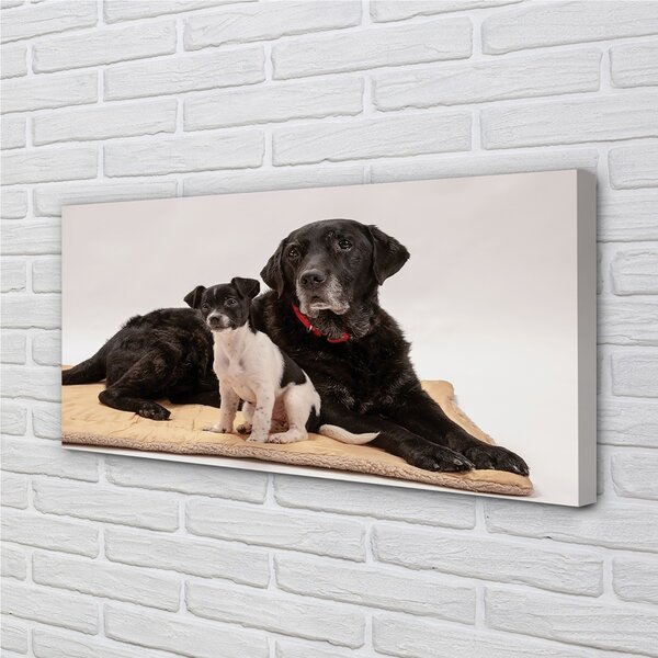 Quadro su tela Cani bugiali 100x50 cm