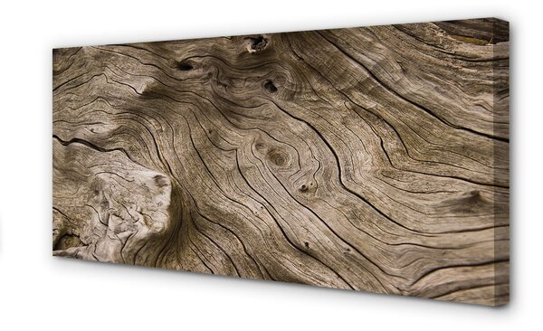 Quadro su tela Legna 100x50 cm