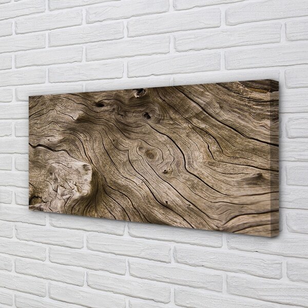 Quadro su tela Legna 100x50 cm