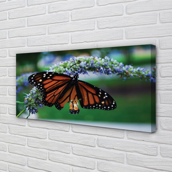 Quadro su tela Farfalla di fiori 100x50 cm