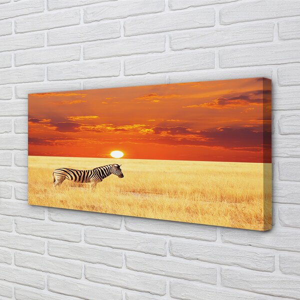 Quadro stampa su tela Zebra Field Sunset 100x50 cm