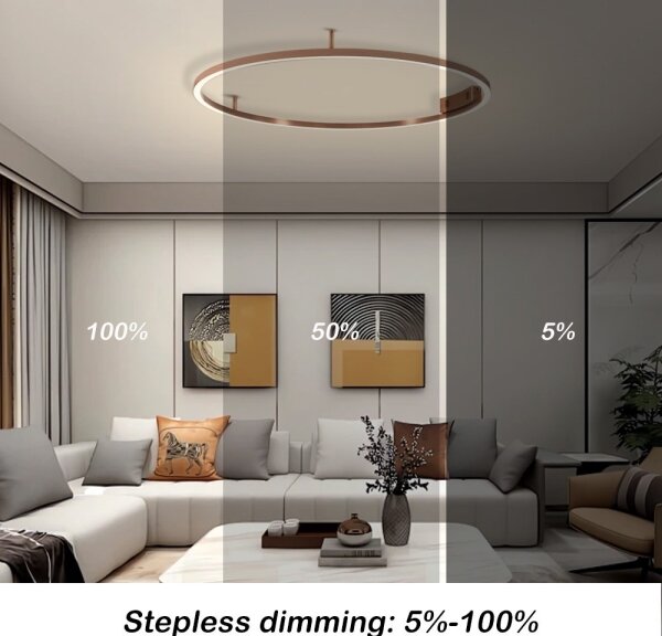 Immax NEO 07326-80C-LED Plafoniera dimmerabile FINO LED/55W/230V 80 cm Tuya rosa oro + telecomando