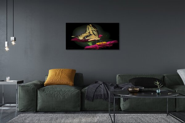 Foto quadro su tela Farfalla di fiori 100x50 cm