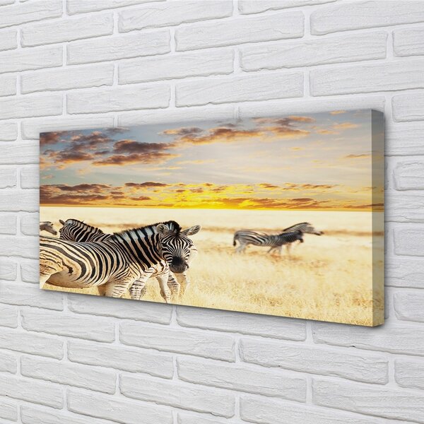 Quadro su tela Zebry Field Sunset 100x50 cm
