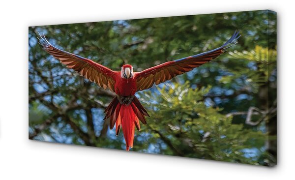 Quadro su tela Ara pappagallo 100x50 cm