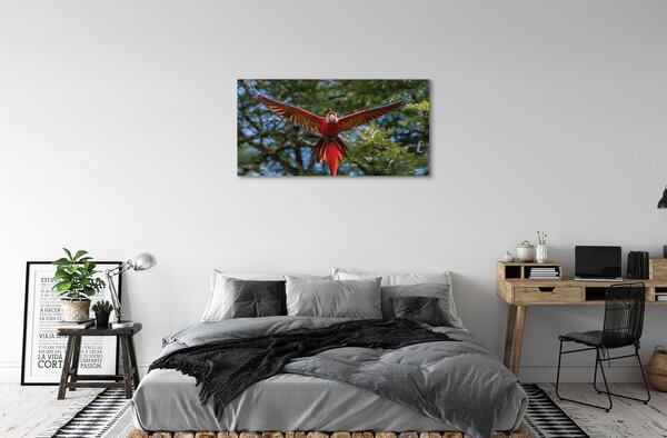 Quadro su tela Ara pappagallo 100x50 cm