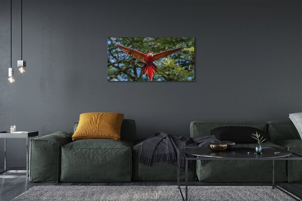 Quadro su tela Ara pappagallo 100x50 cm
