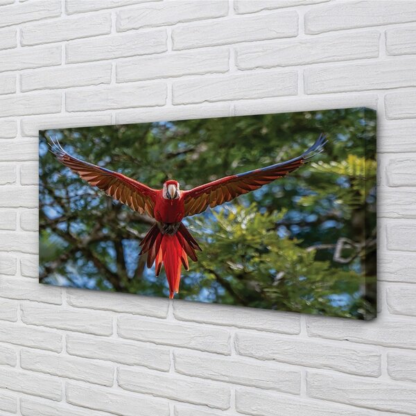 Quadro su tela Ara pappagallo 100x50 cm