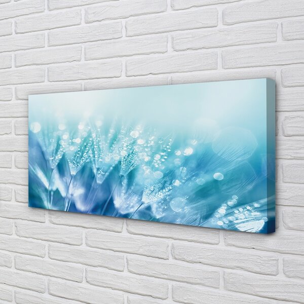 Quadro su tela Gocce di dentelioni astrazione 100x50 cm